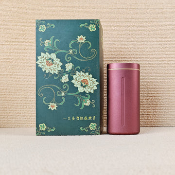 Electronic Moxibustion Device
