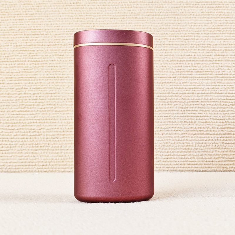 Electronic Moxibustion Device